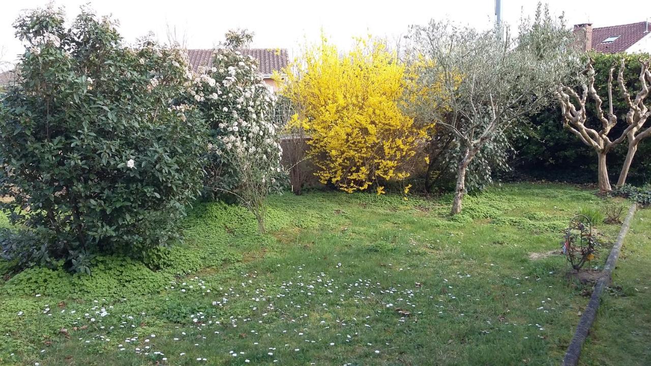 דירות Estang A Clair Matin מראה חיצוני תמונה